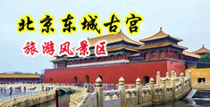 大鸡巴日女人的b视频中国北京-东城古宫旅游风景区